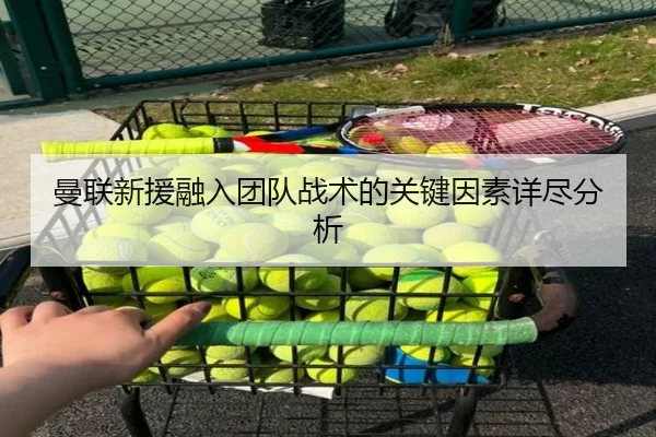 曼联新援融入团队战术的关键因素详尽分析